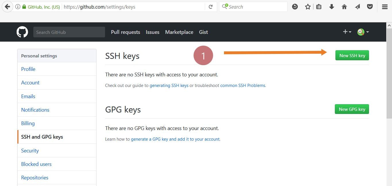 Adding SSH Keys to GitHub Account