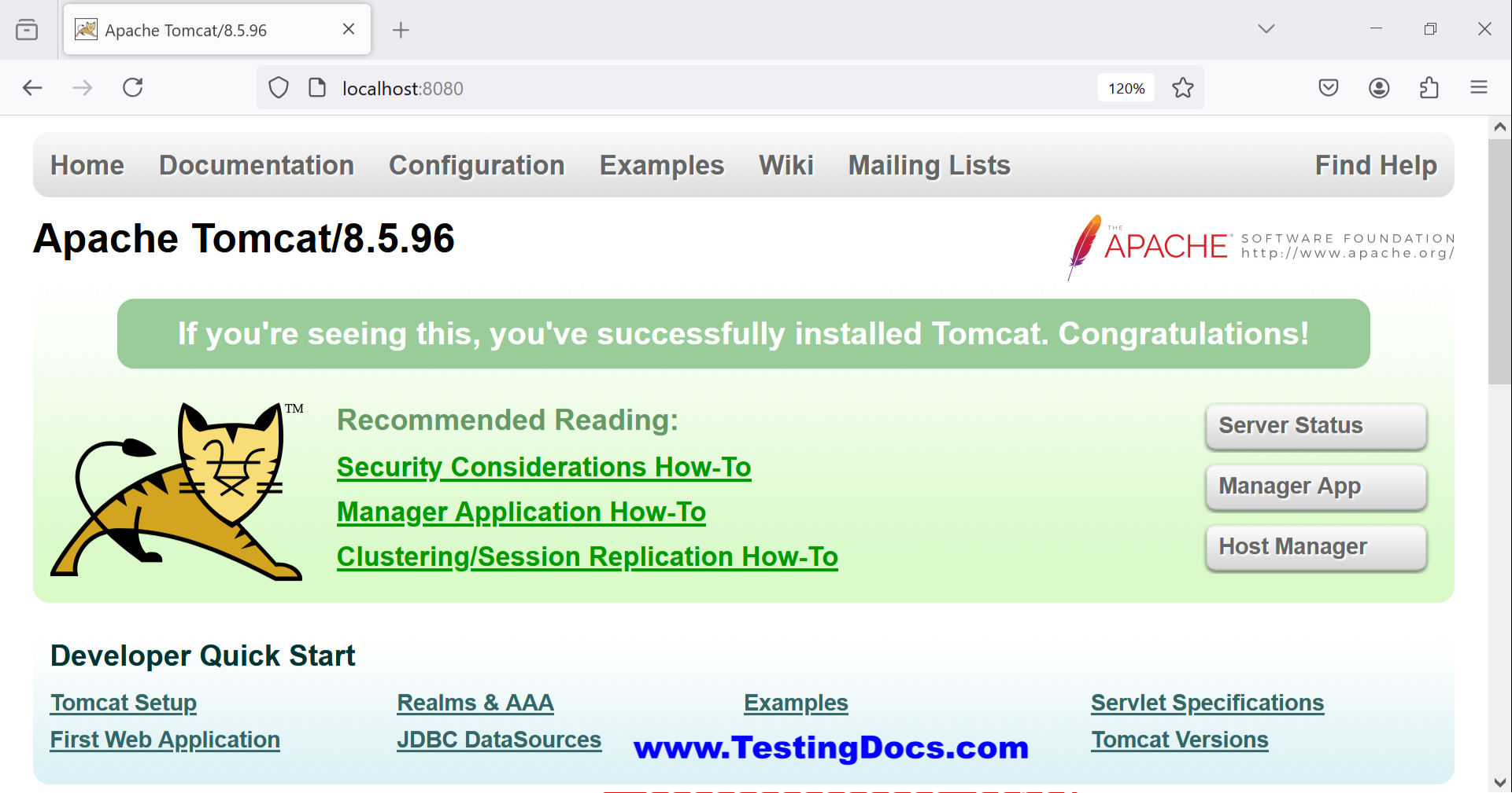 Apache Tomcat Dashboard Page
