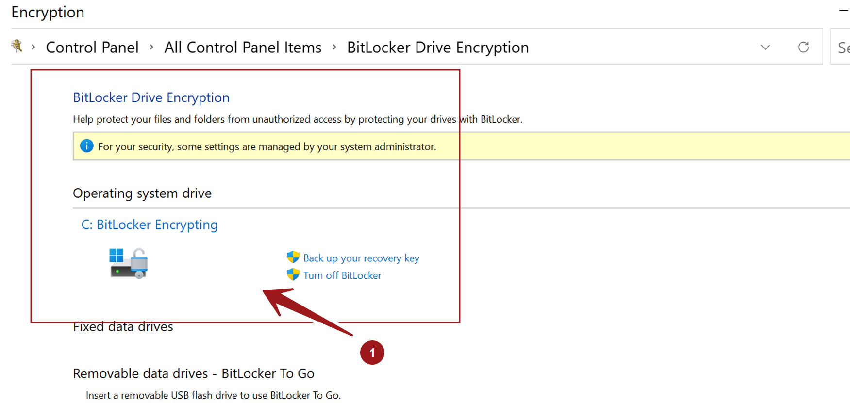 BitLocker Encrypting Windows 11