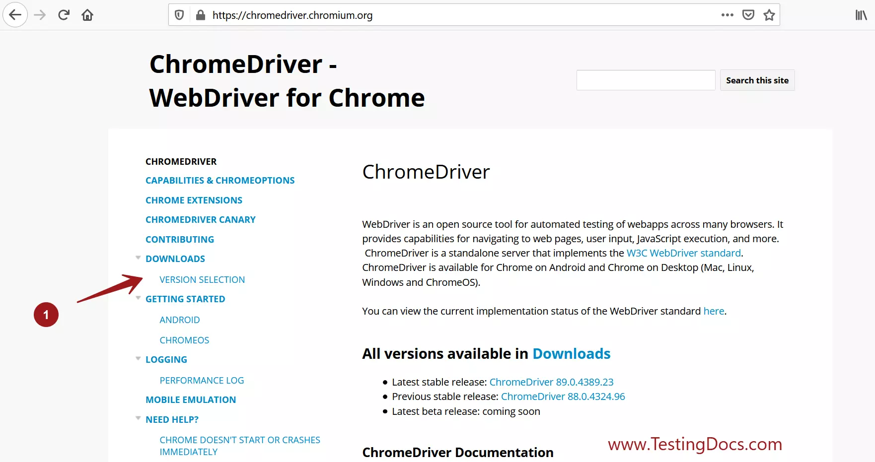 driver google chrome