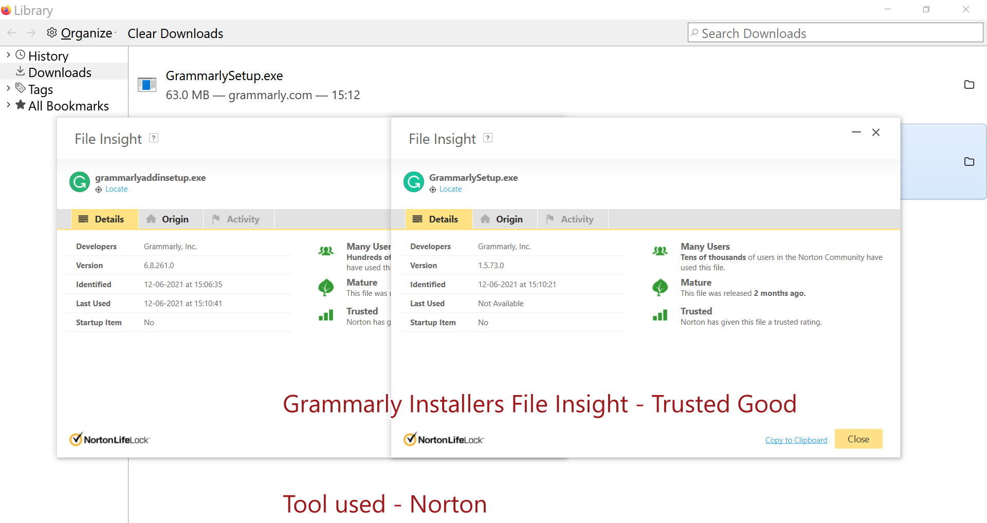 Grammarly Installers File Insight