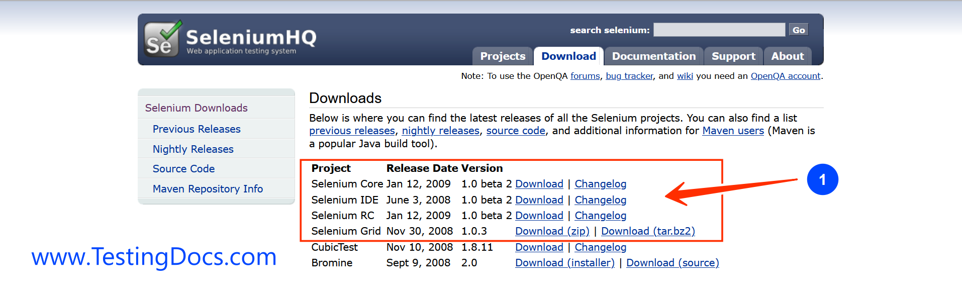 Selenium 1.0 download