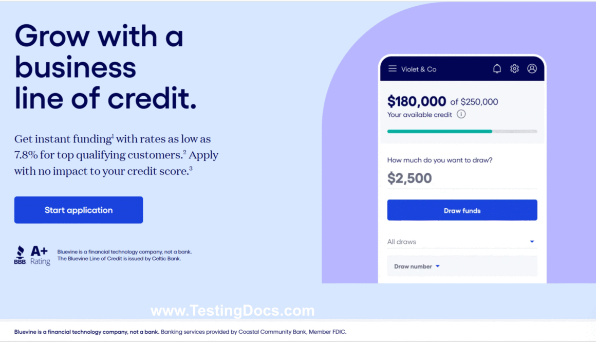 Bluevine Funding Solutions