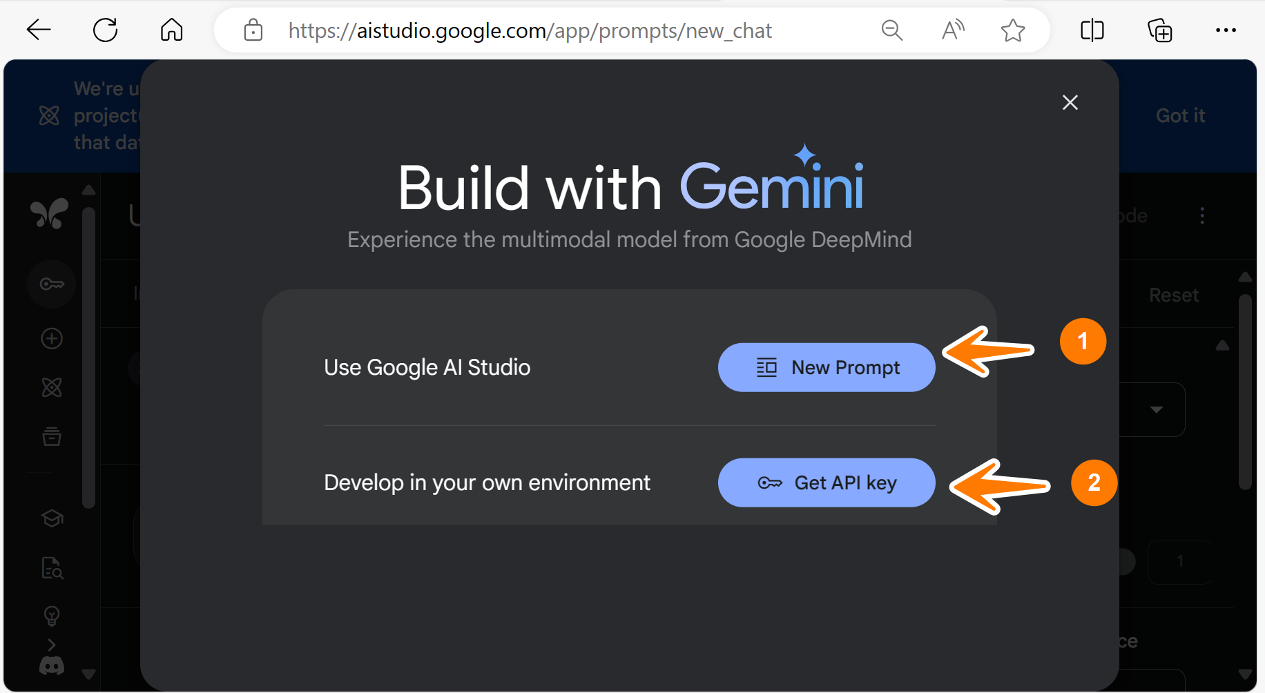 Build with Gemini UI
