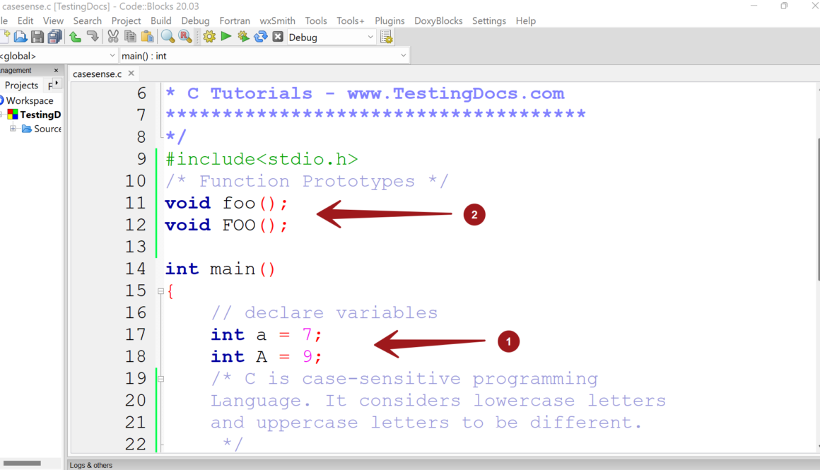 C Case-Sensitive Programming Language