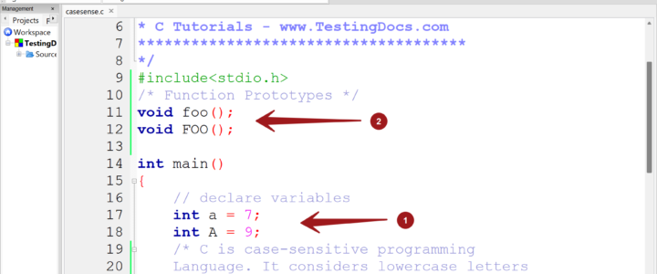 C Case-Sensitive Programming Language