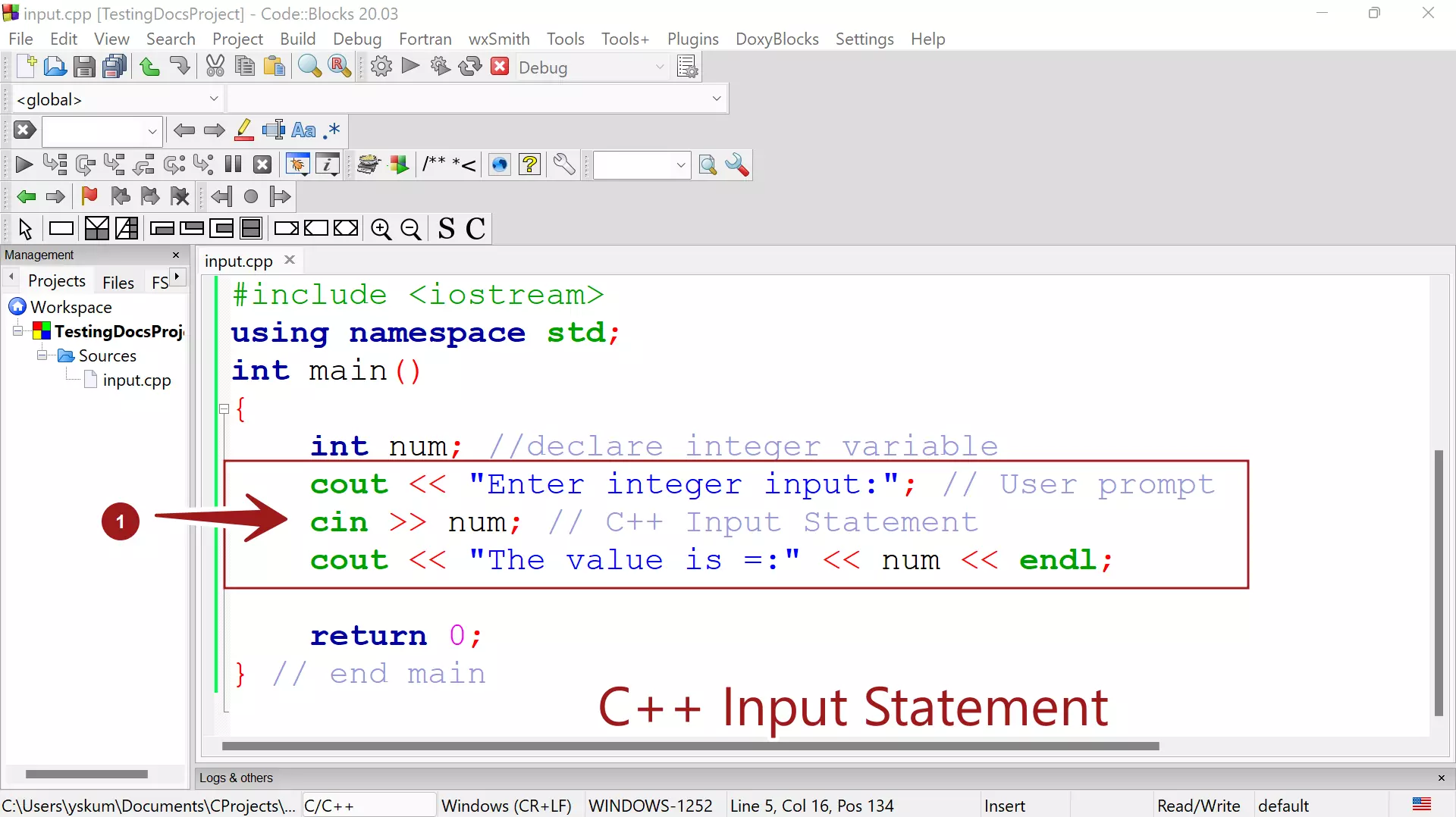 C++ Input Statement