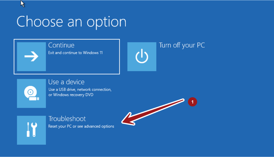 Choose an Option Screen Windows