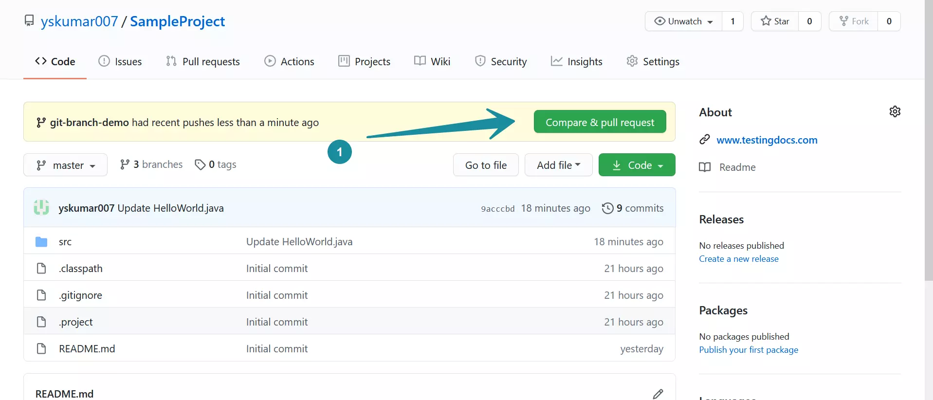 Compare & pull request