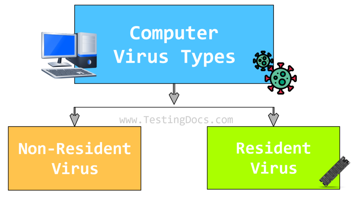 Computer Virus Types