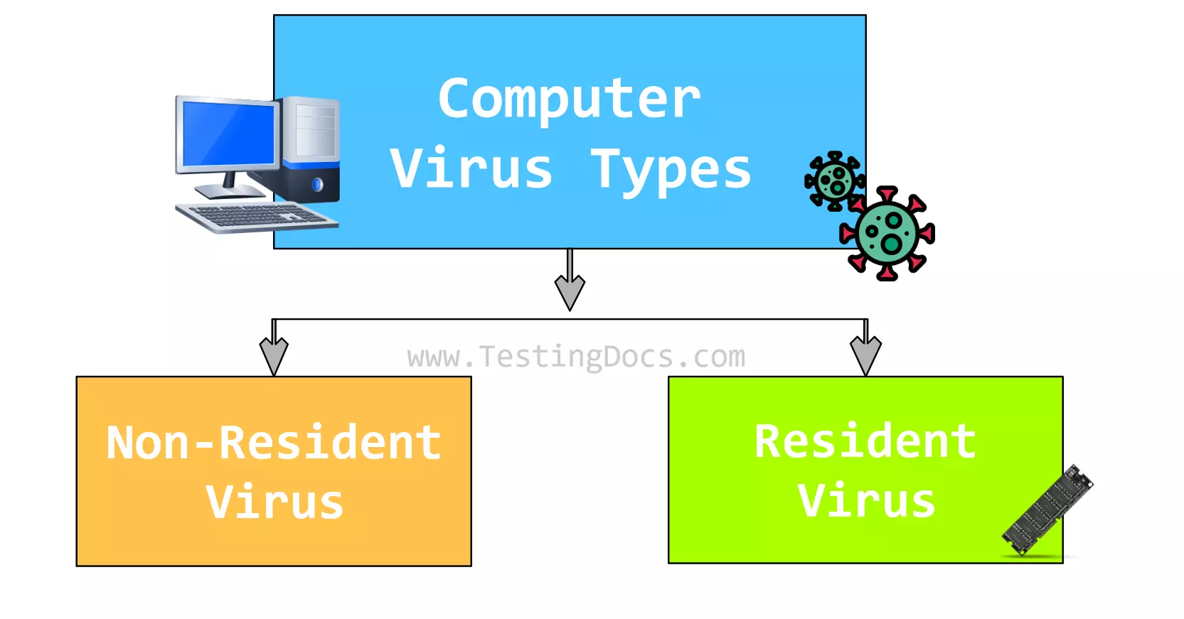 Computer Virus Types