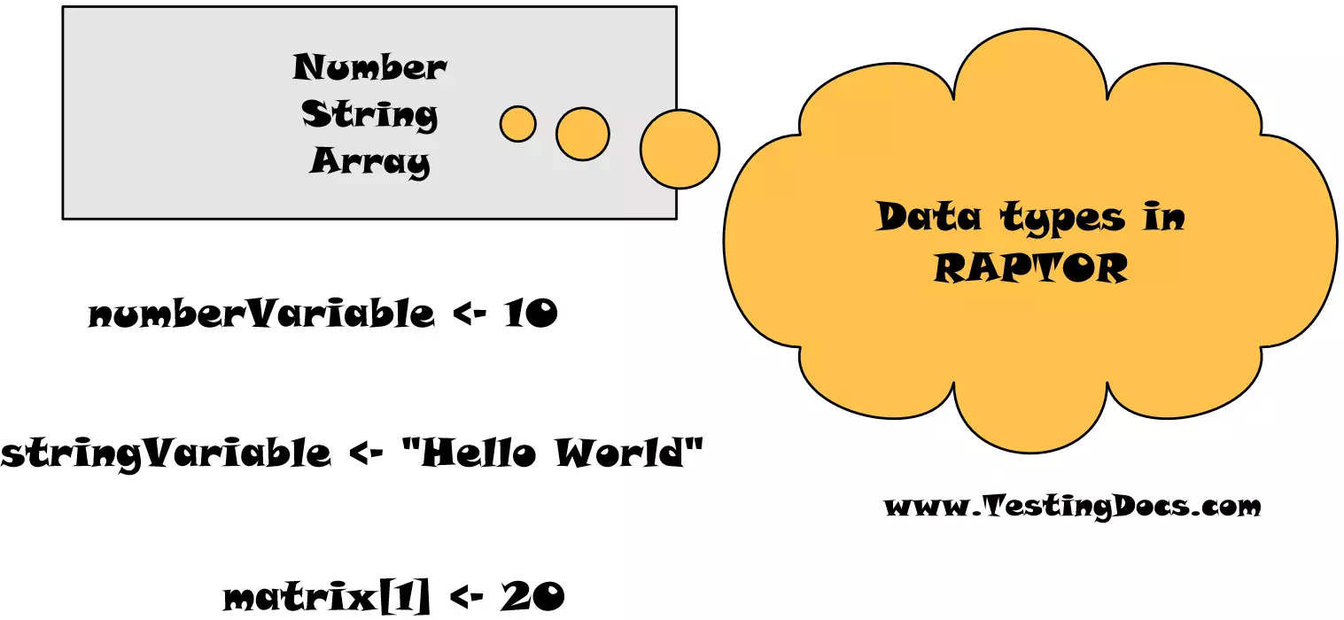 Data Types in RAPTOR