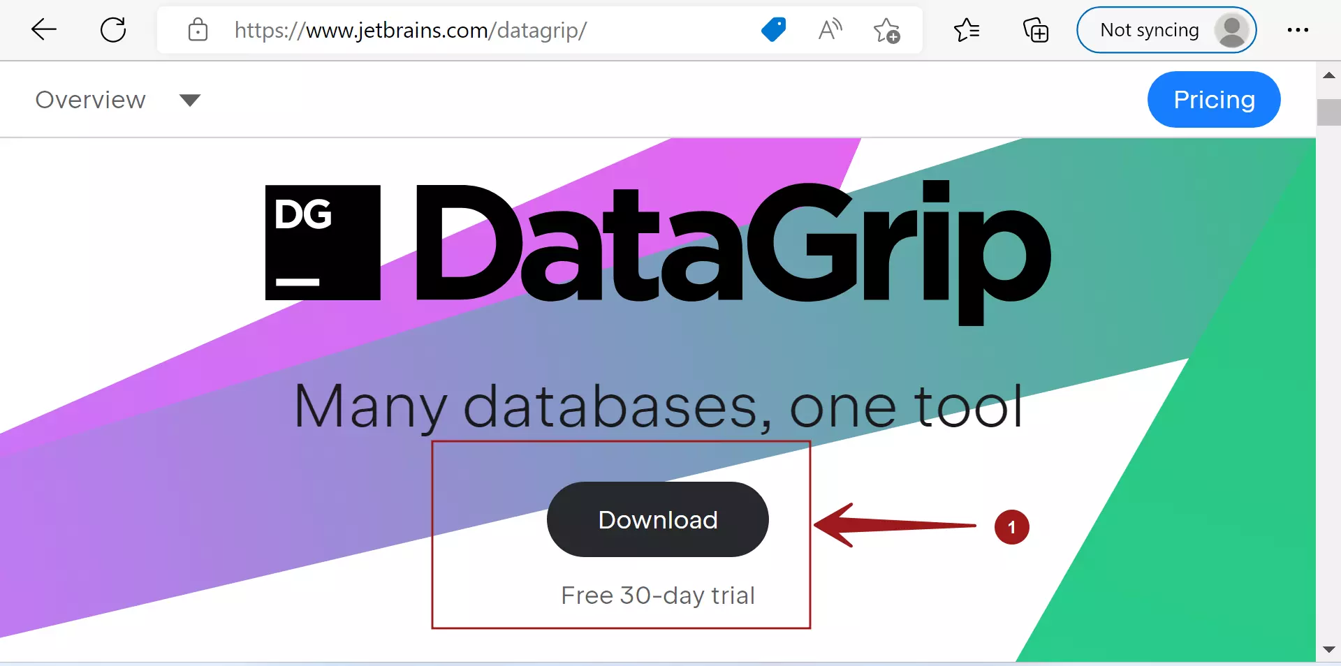 DataGrip Download