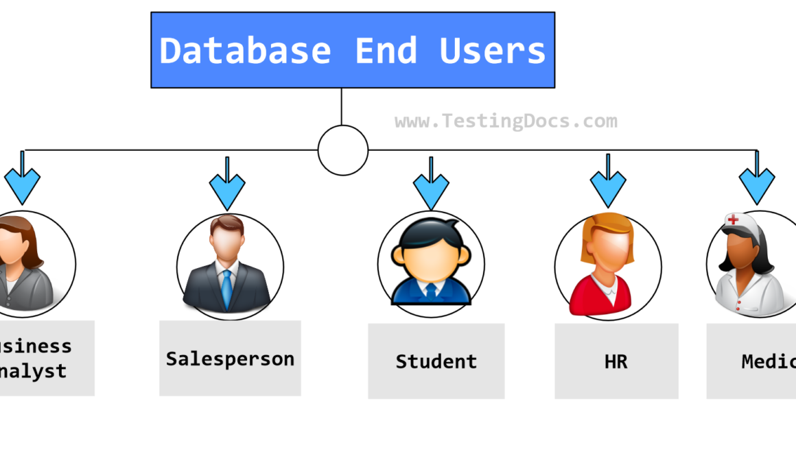 Database End Users