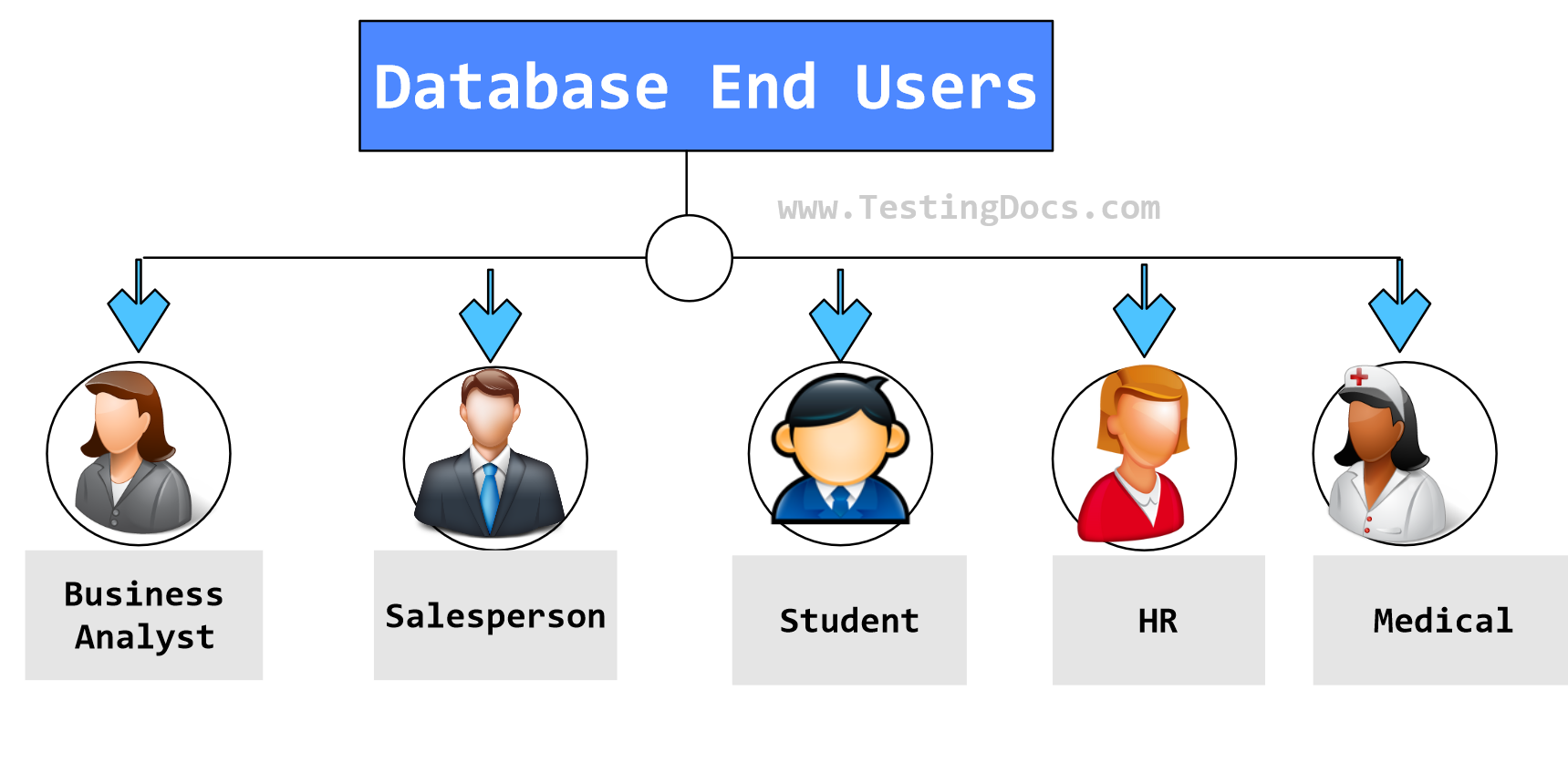 Database End Users