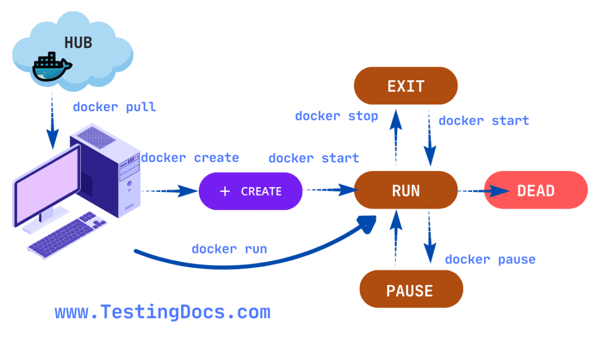 Docker Container Life Cycle