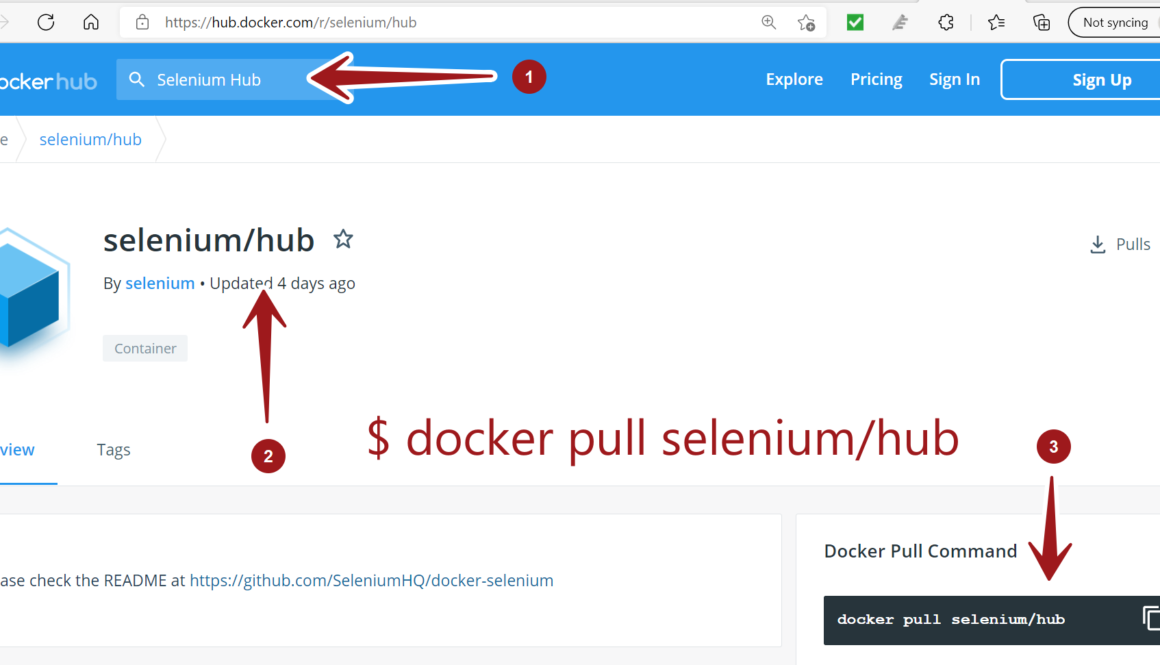 Docker Selenium Hub