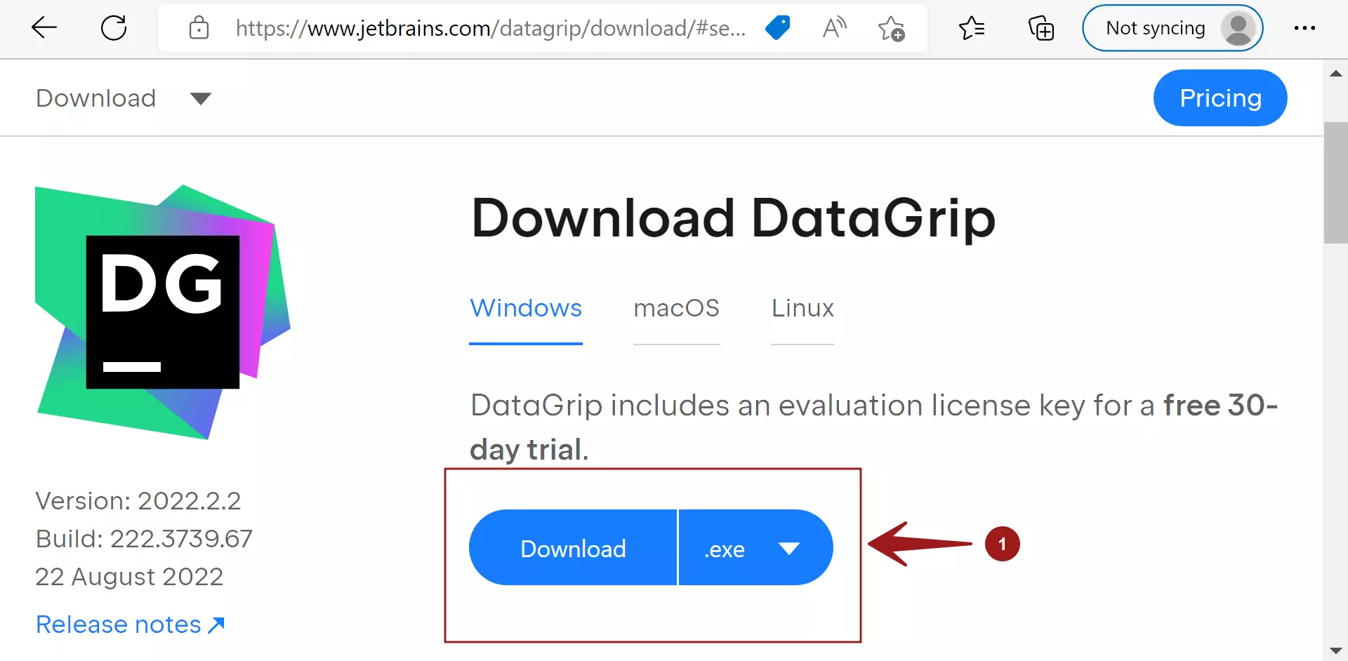 Download DataGrip Exe File Windows