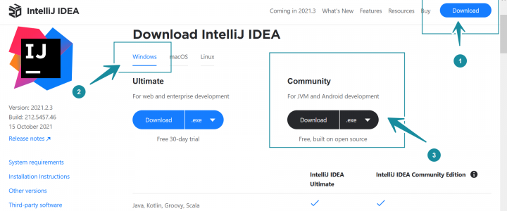 Download IntelliJ IDEA Windows11