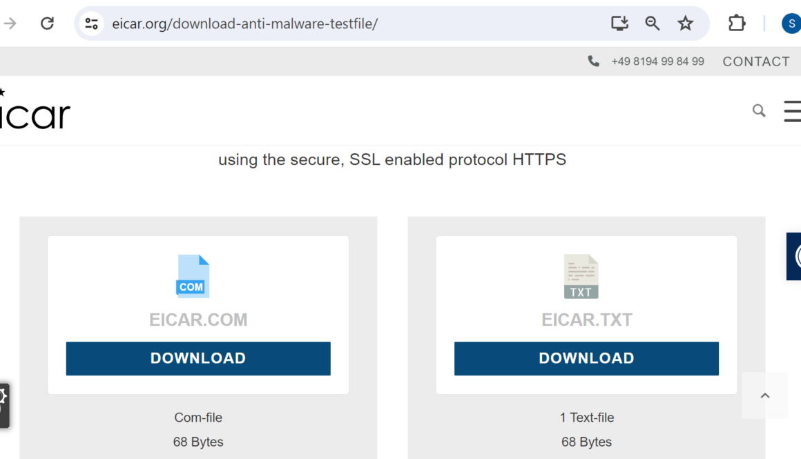EICAR Test File Download