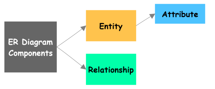 ER Diagram Components