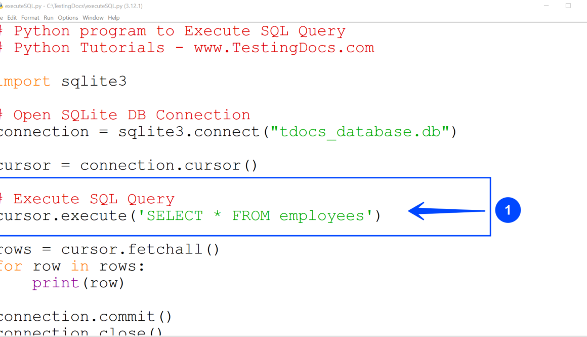 Python Execute SQL Query