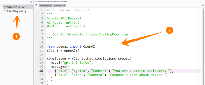 First OpenAI API Request
