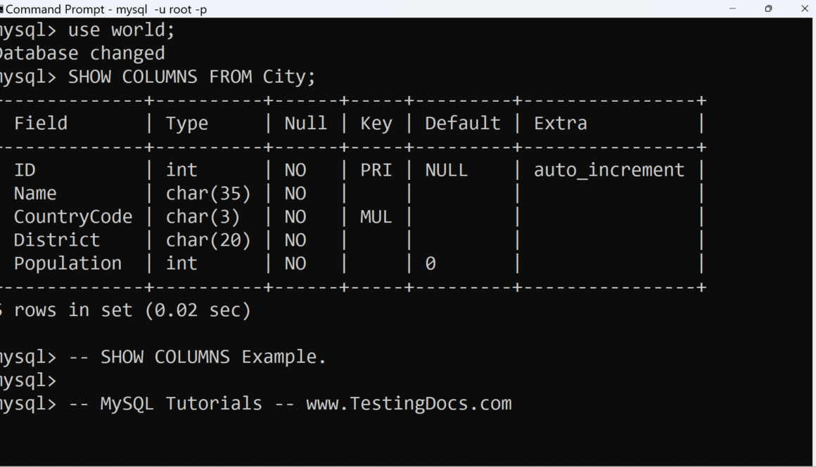 Get Database Metadata Show Columns