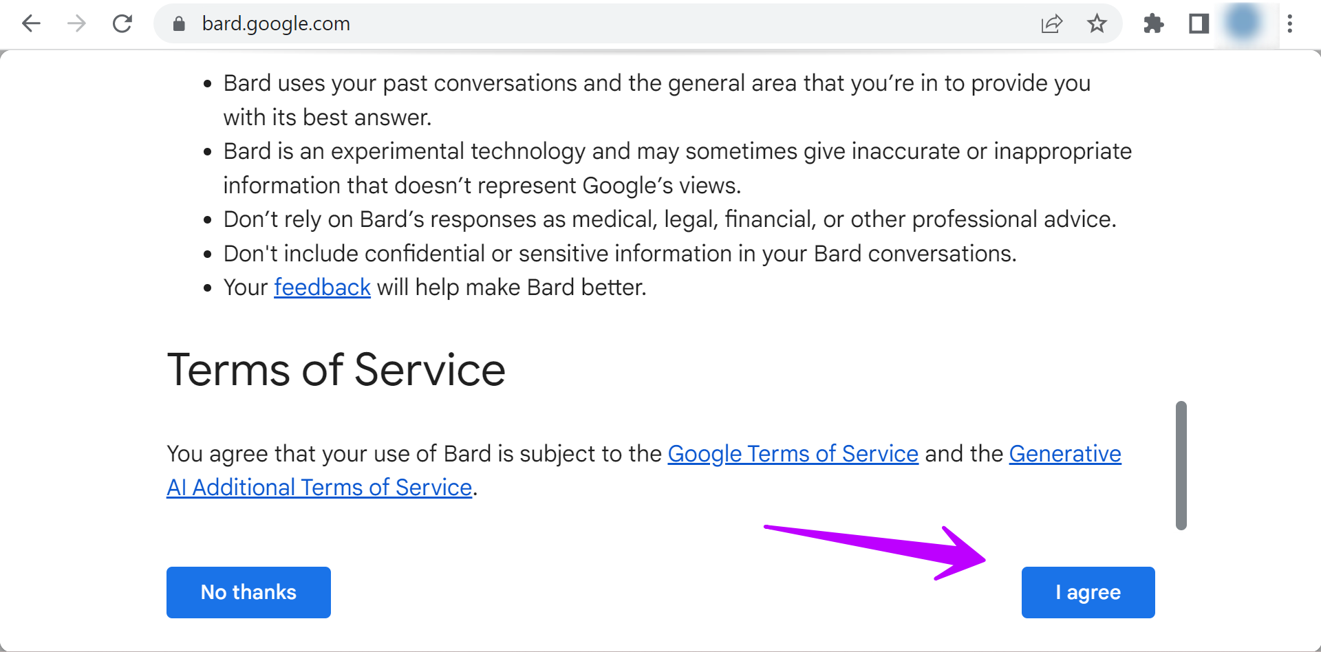 Google Bard Policy Terms