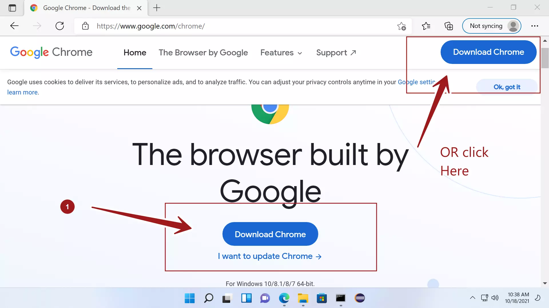 Chrome download Download Google