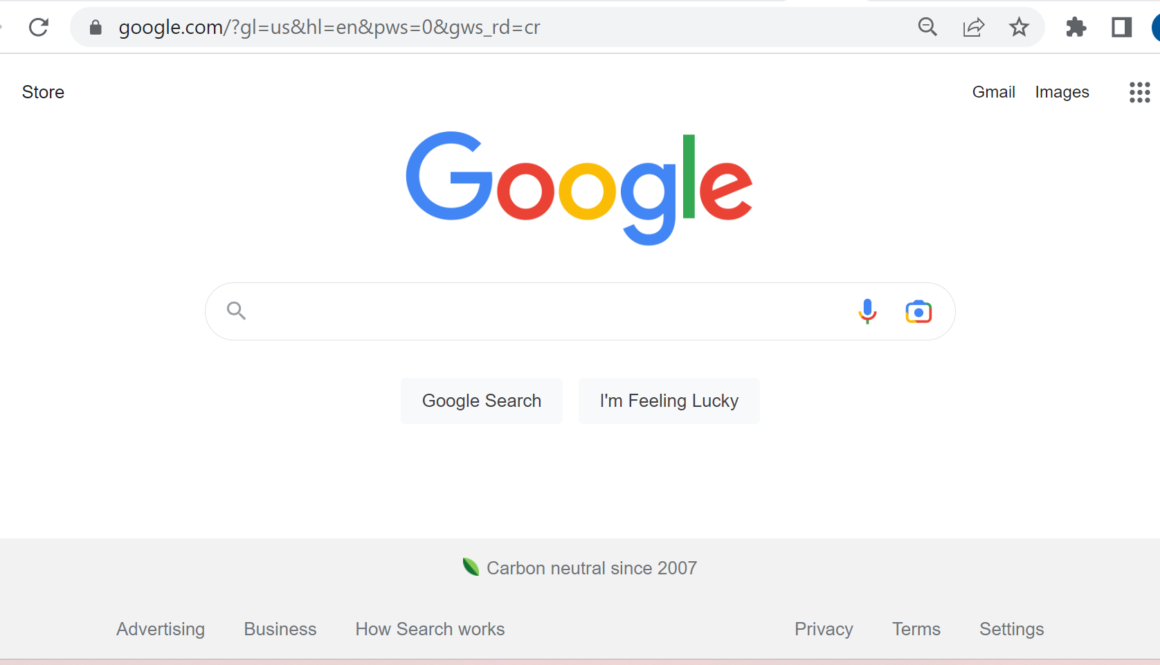 Google Search Engine