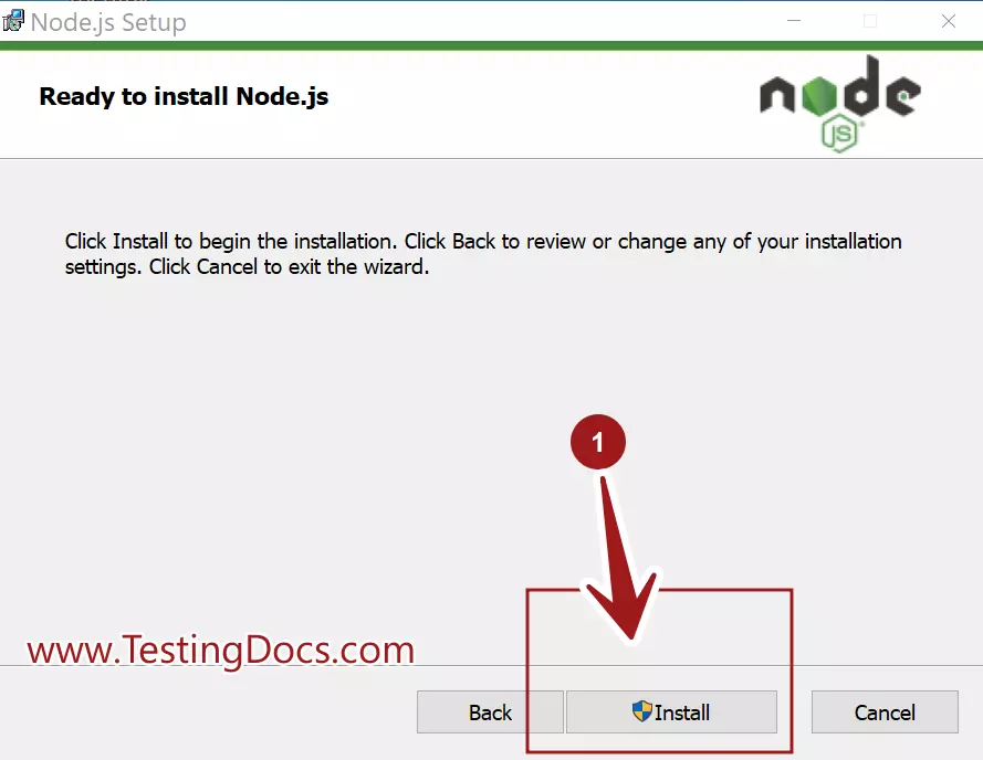 Install Node.js Runtime