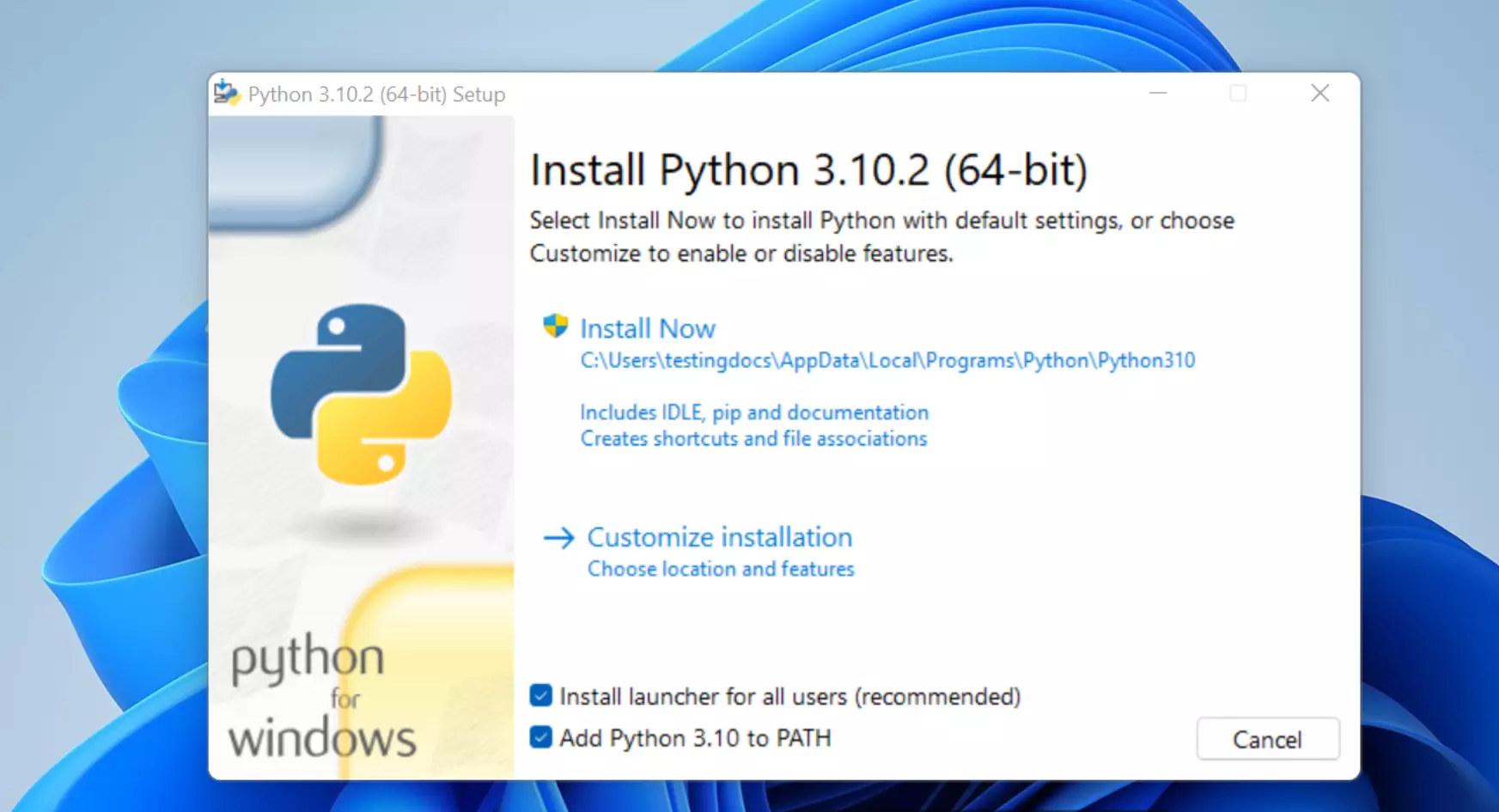 Install Python 64-bit Windows11