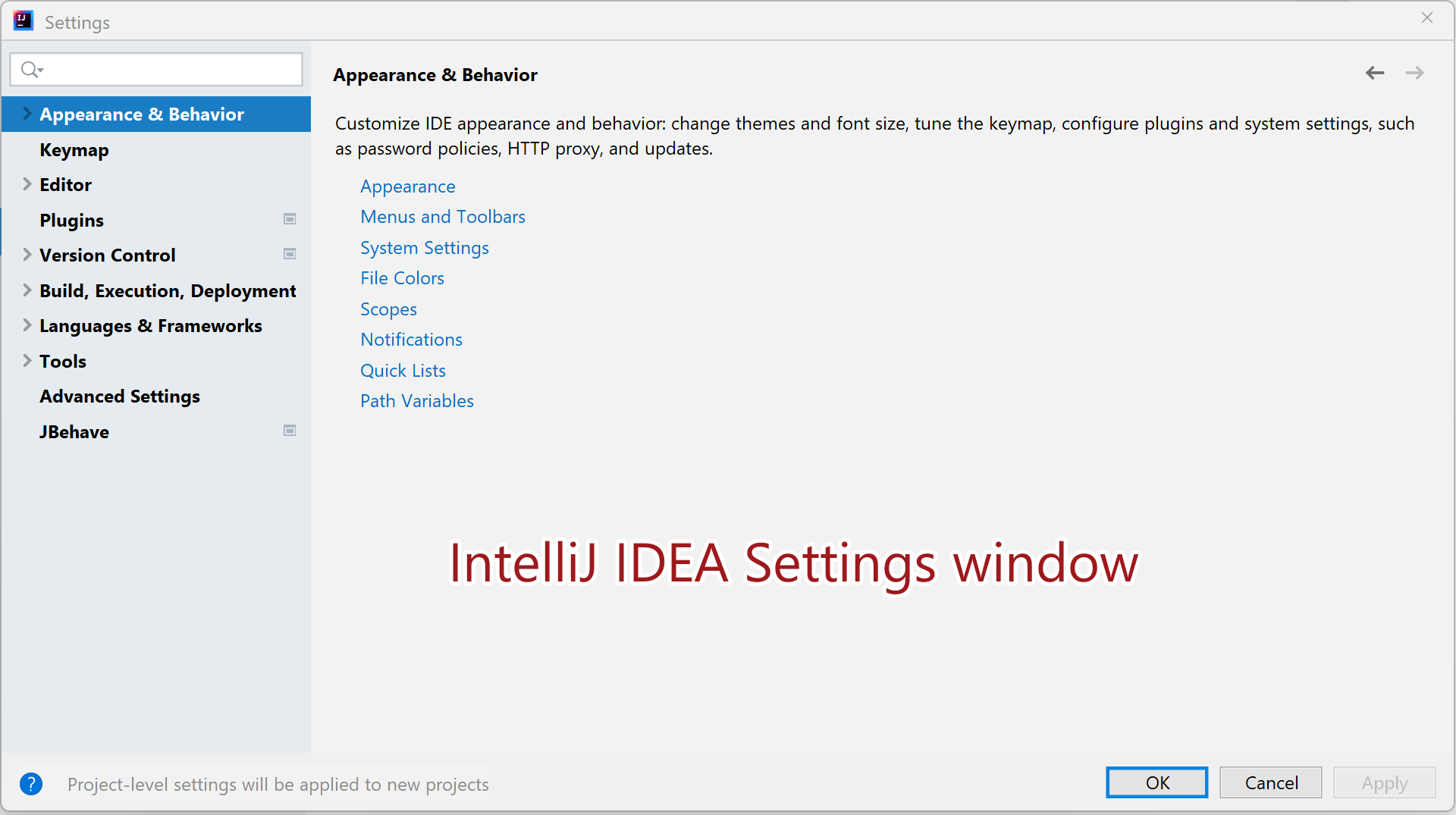 IntelliJ IDEA Settings Window Win11