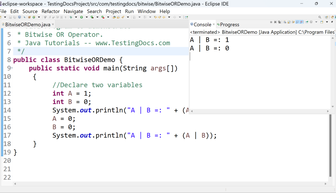 Java Bitiwse OR Operator