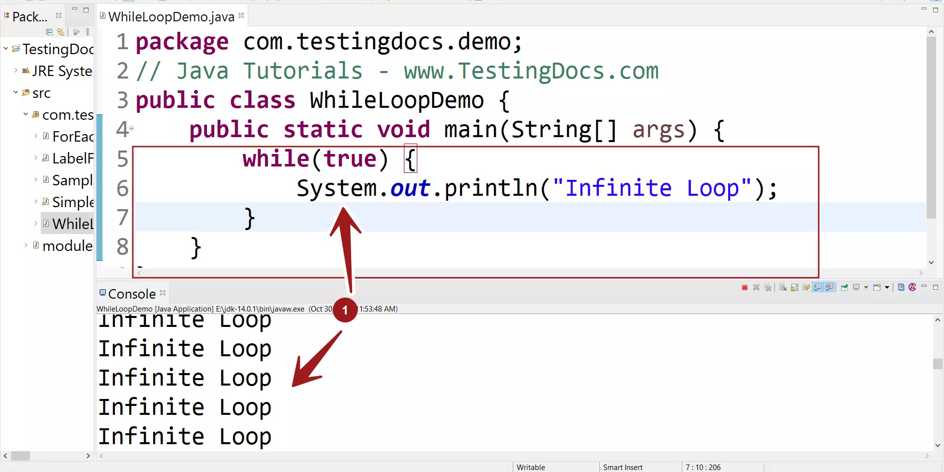 Java Infinite Loop while