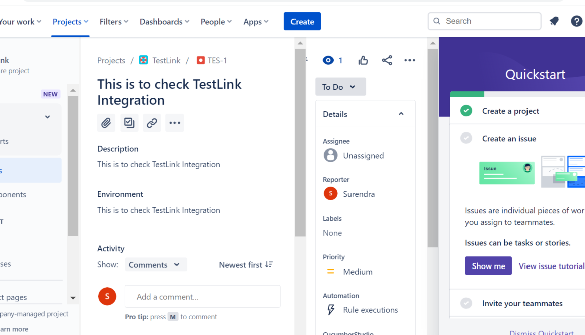 Jira Software Project Issues Dashboard