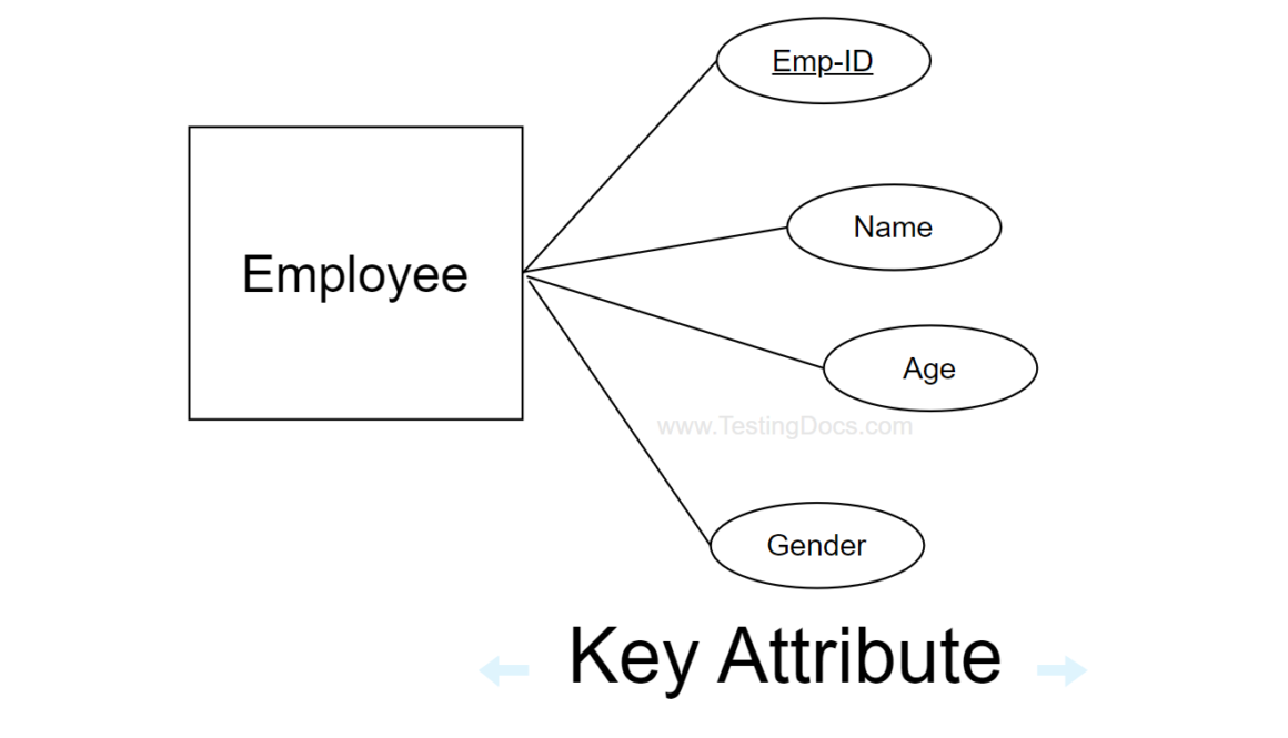 Key Attribute 
