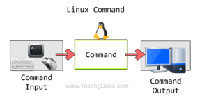 Linux Commands Tutorial | TestingDocs