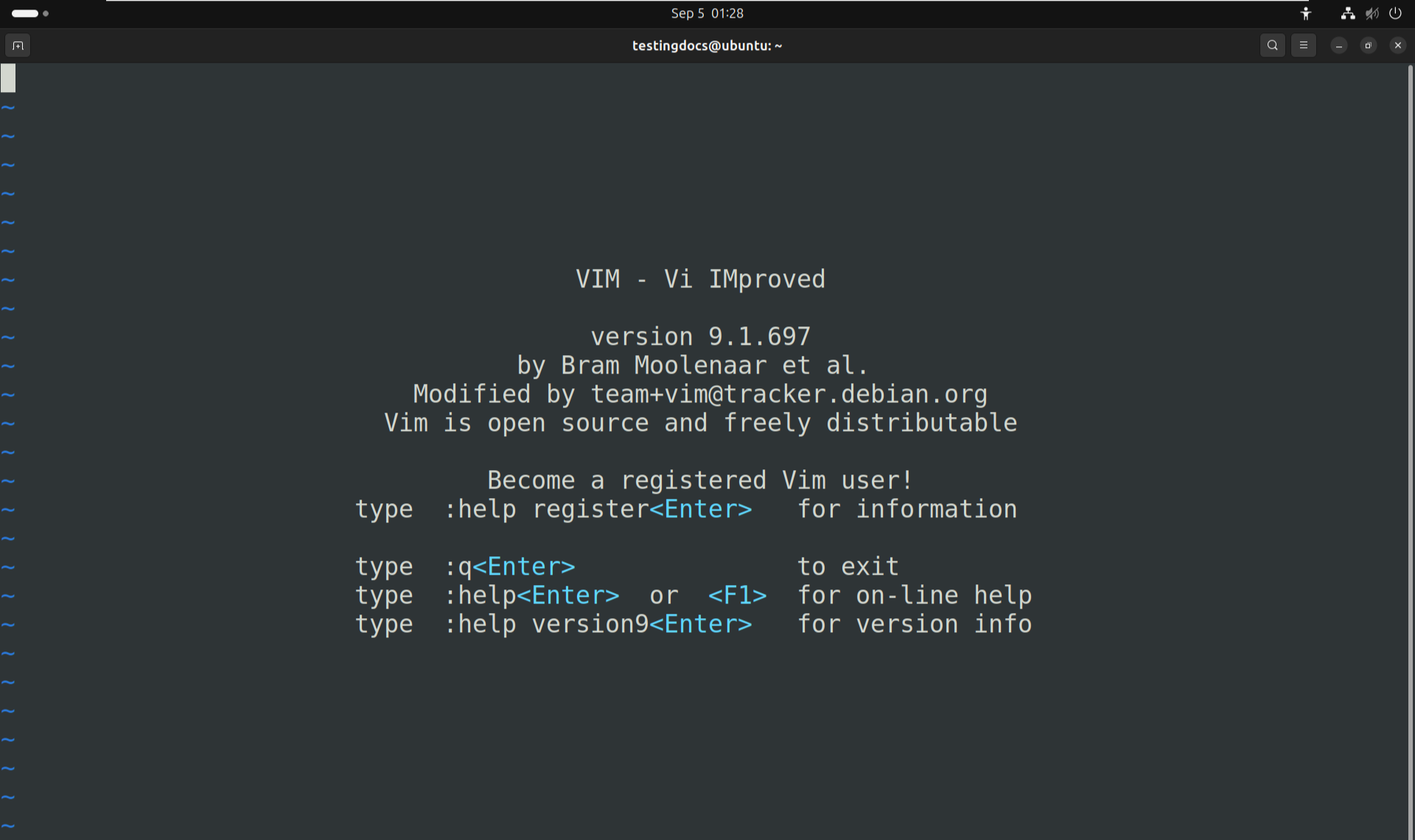 Linux Vim Editor