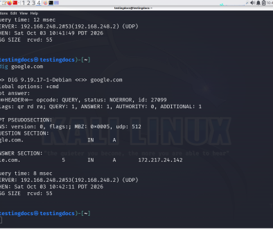Linux dig command
