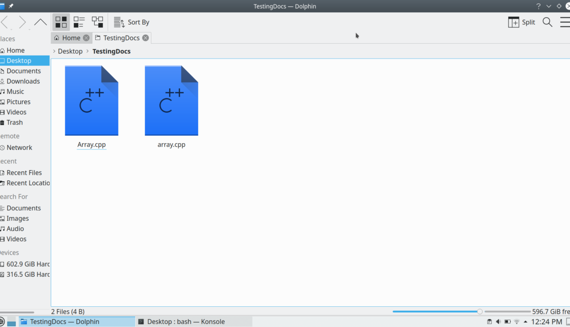 Linux is case sensitive filenames