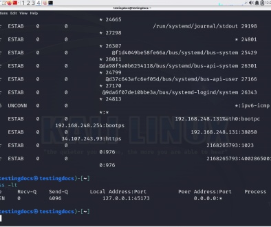 Linux ss command