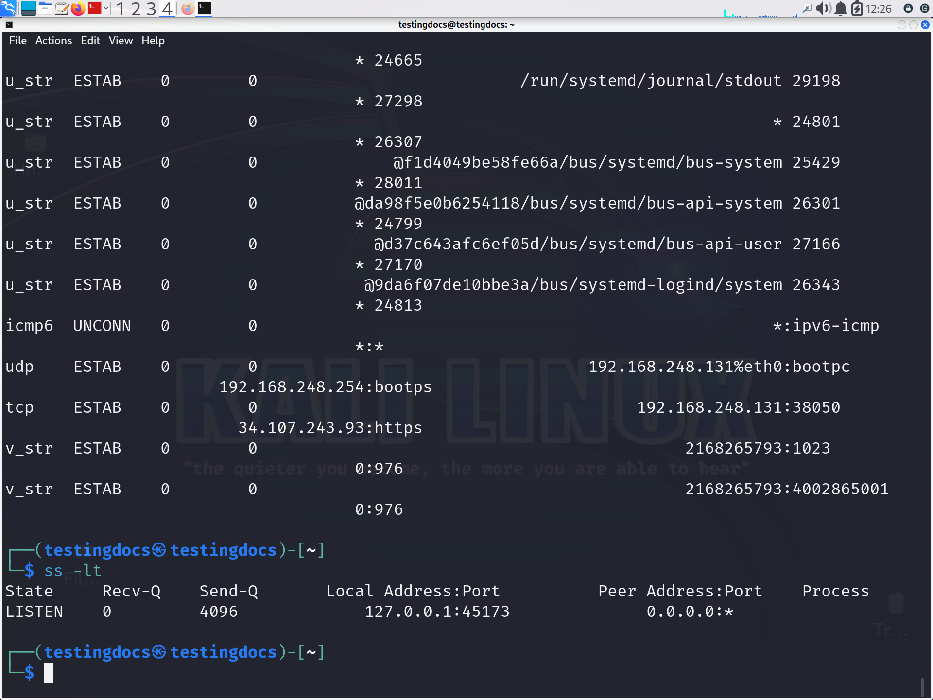 Linux ss command