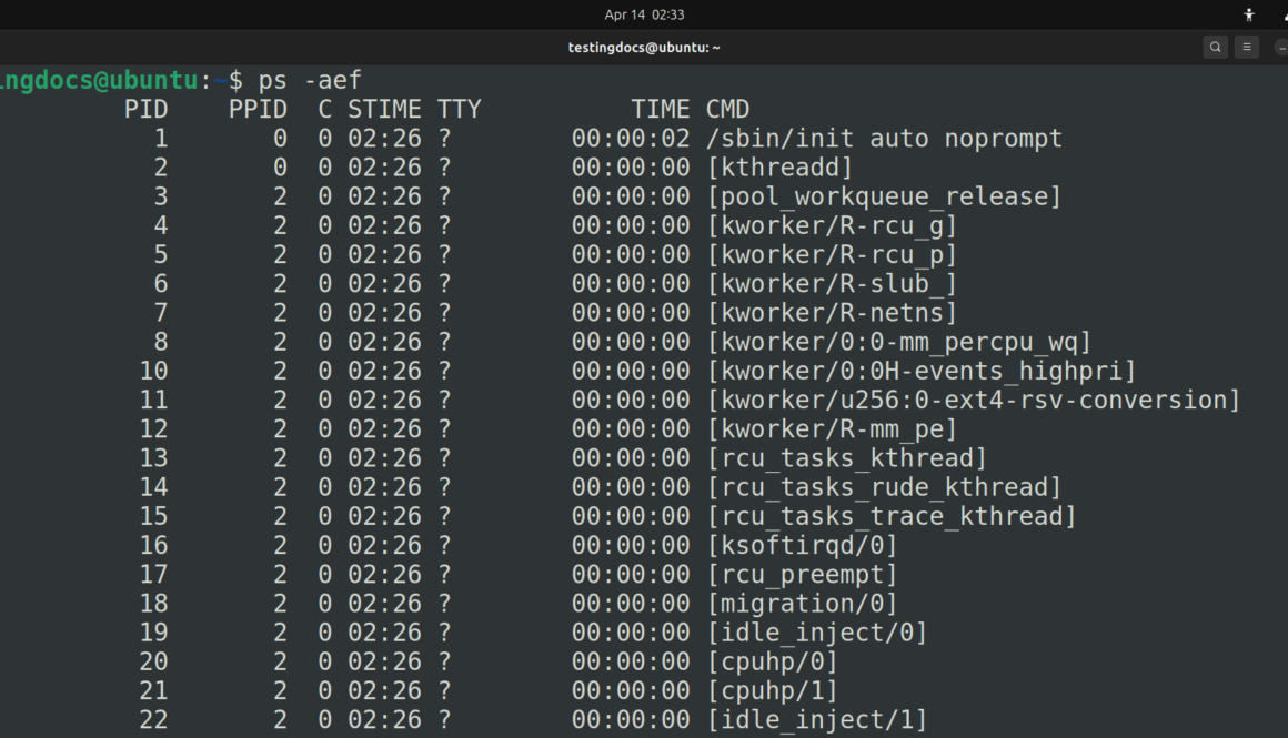 Linux systemd Process