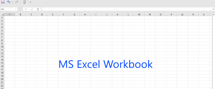 MS Excel Workbook