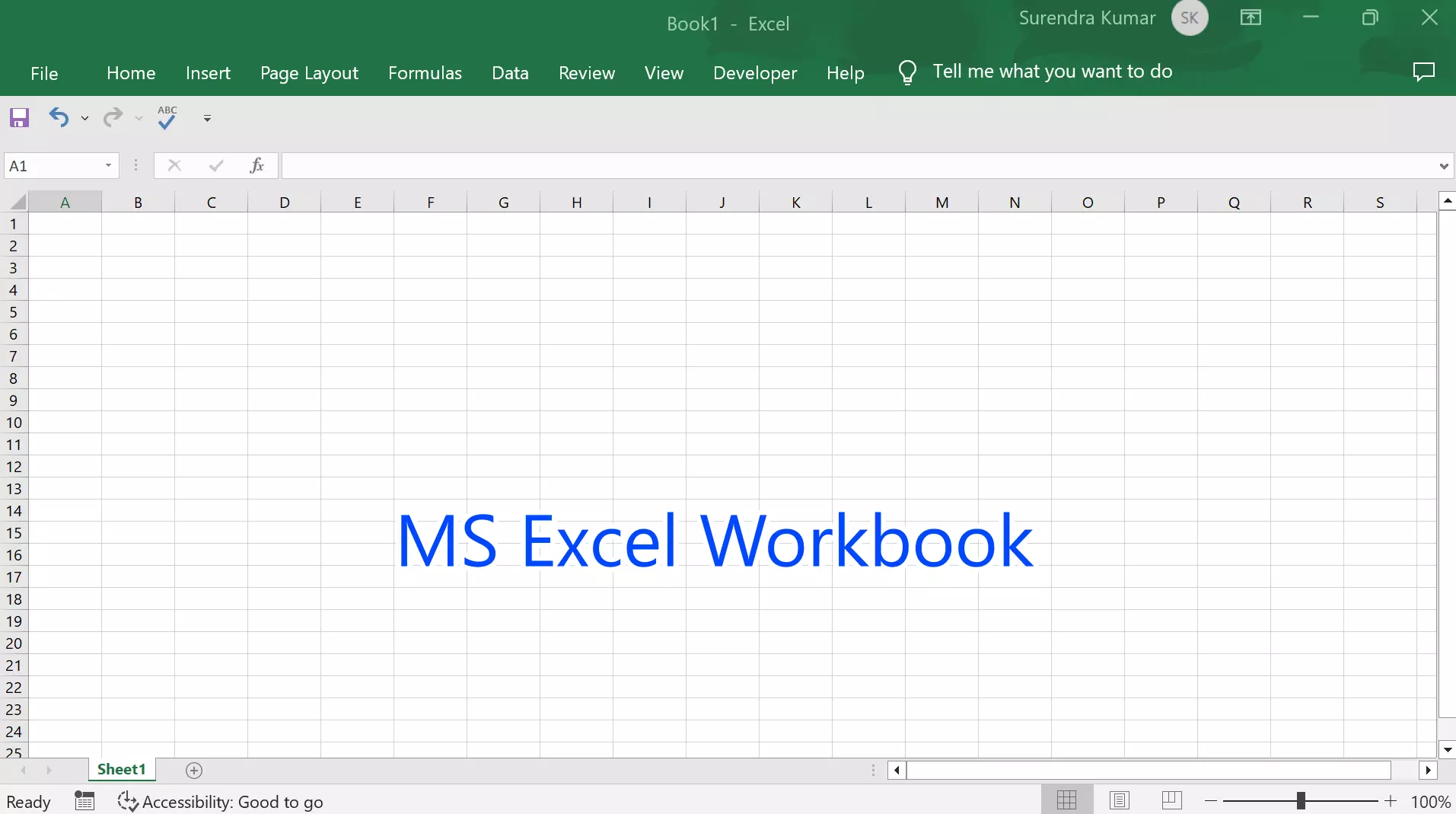 MS Excel Workbook