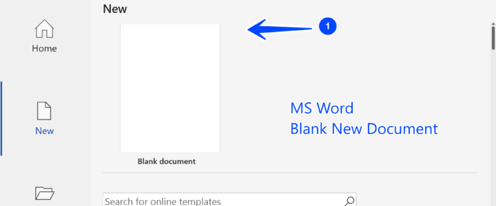MS Word Blank Document