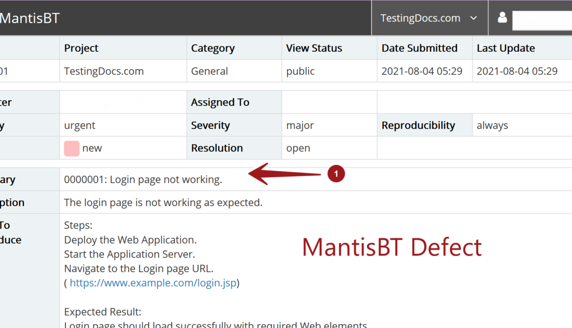 MantisBT Defect View Issue Page