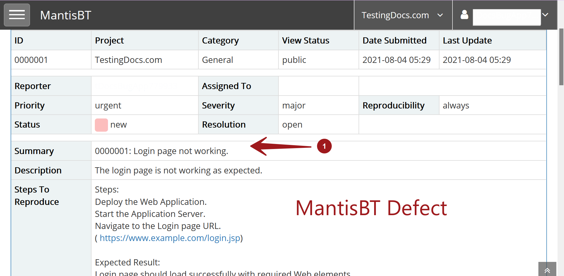 MantisBT Defect View Issue Page